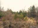 Lot 39 Lake Haven Drive Drive sold home in Lake Lure, SC