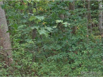 Lot 61 Coyote Hollow Road