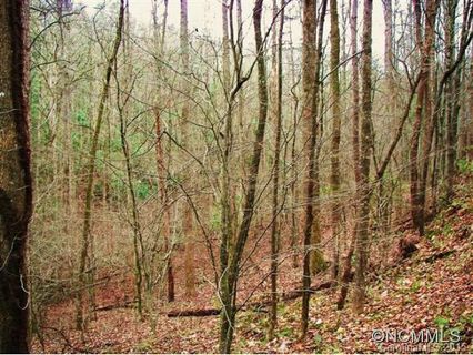 Richard D Justice sold home in Richard D Justice, Lake Lure, NC