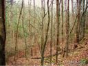 Sold home in Lake Lure, SC