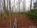Lo62 Panther Cove sold home in Brevard, SC