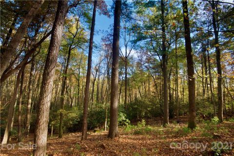 59 Misty Valley Parkway Lot 2