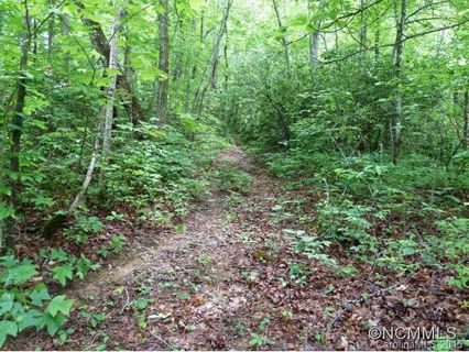 0 Henry Mountain Road sold home in Henry Mountain, Brevard, NC