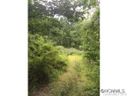 51 Lower Barton Road sold home in Asheville, SC