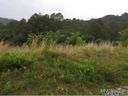 231 Bee Ridge Road Lot 1 sold home in Asheville, SC