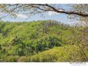 00 Mcintyre Drive 15.12A sold home in Asheville, SC