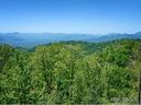 Lot 19 Peregrine Lane sold home in Asheville, SC
