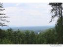 9421 Shortoff View Ter sold home in Nebo, SC