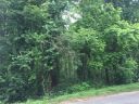 Lot 17 Country Club Drive sold home in Canton, SC