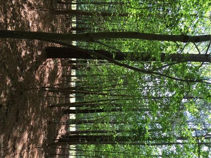 000 Morrison Farm Road sold home in Twinn Coves on Morrison, Troutman, NC