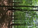 000 Morrison Farm Road sold home in Troutman, SC