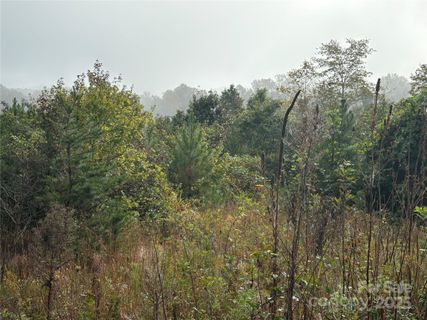 0 Hopewell Road active home in Morganton, Morganton, NC
