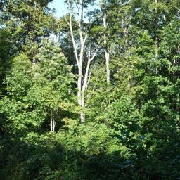 Lot 12 Caperton Point Road