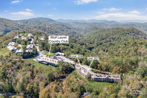 2541 Wolf Laurel Road