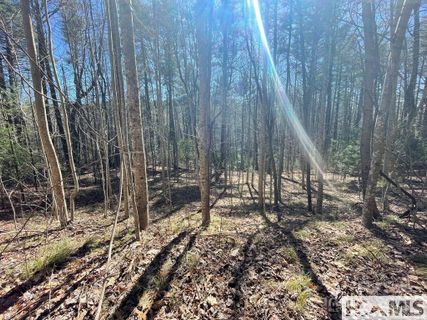 1 Bear Log Road active home in Found Forest, Cashiers, NC
