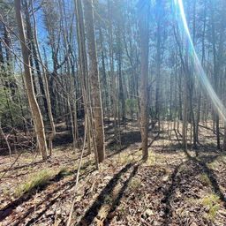 1 Bear Log Road