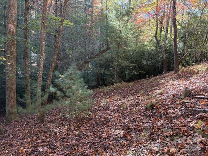 00 Caddis Lane