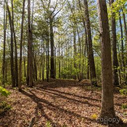 1156 Bear River Lodge Trail