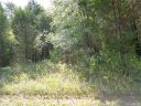 9213 Guildbrook Road sold home in Davidson, SC