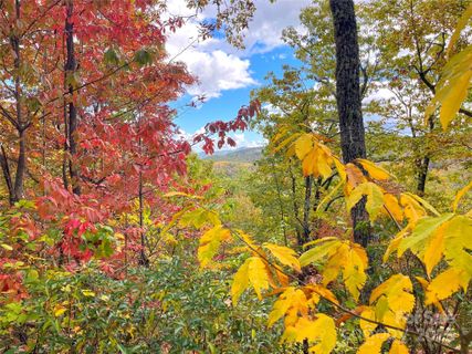 57 Grouse Ridge Drive active home in Miller Cove, Black Mountain, NC