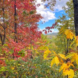 57 Grouse Ridge Drive