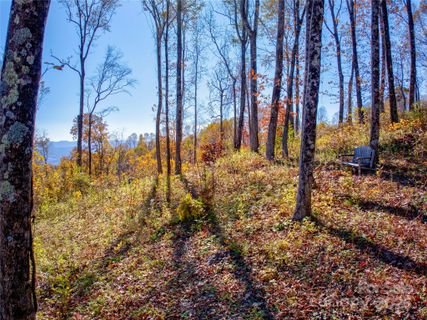 7 Laurel Ledge Way active home in Couch Mountain, Fletcher, NC