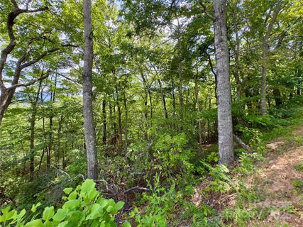 94 Galax Drive active home in Creston, Black Mountain, NC