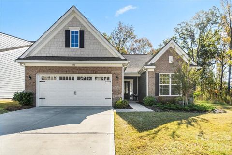 Homes in Windhaven, Tega Cay