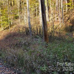 000 Cabin Hill Road
