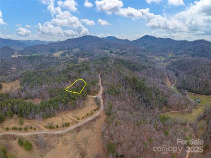 00 Wildlife Drive active home in Dream Valley, Clyde, NC