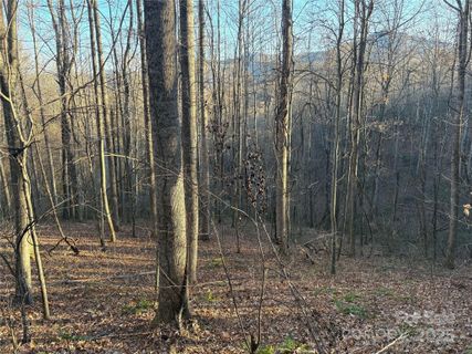 28 Cadillac Pointe active home in Mountain Watch, Waynesville, NC