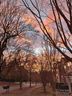 9336 Greenheather Drive sold home in Huntersville, SC