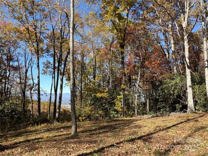 45 Trillium Garden Trail pending home in Couch Mountain, Fletcher, NC