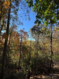 9999 Hemlock Trail