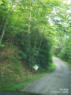 62 Turkey Hollow Court sold home in The Glens Of Ironduff, Waynesville, NC
