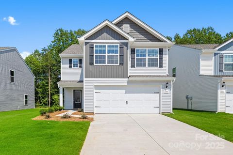 Homes in McKee Creek Village, Charlotte