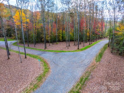 000 Nature Walk Lane sold home in 1901 Reserve, Hendersonville, NC