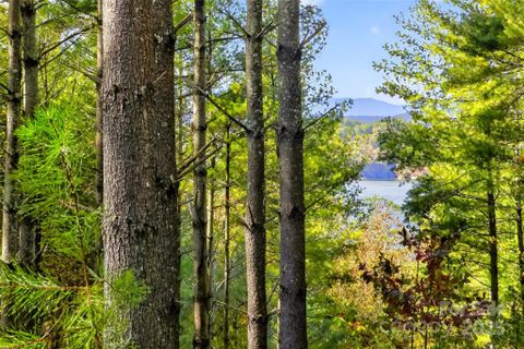 Homes in The Peninsula At Lake James, Nebo