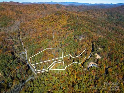 Homes in Oak Laurel, Brevard