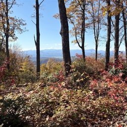 Lot 64 Feather Stone Drive