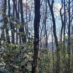 Lot 322 Sunny Drive