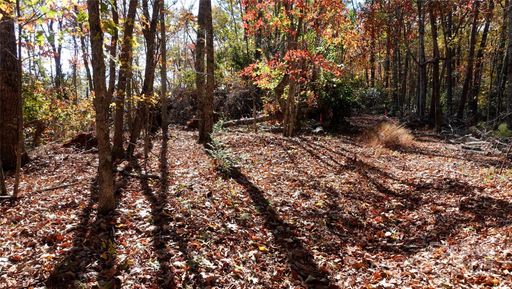00 Lytle Mountain Road