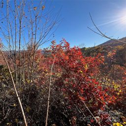 Lot 66 Musket Drive