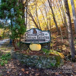 Tbd Appaloosa Trail