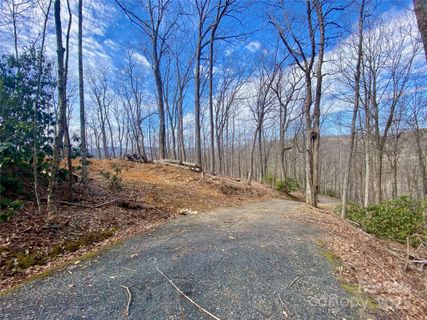Tbd Old Chestnut Mountain Road