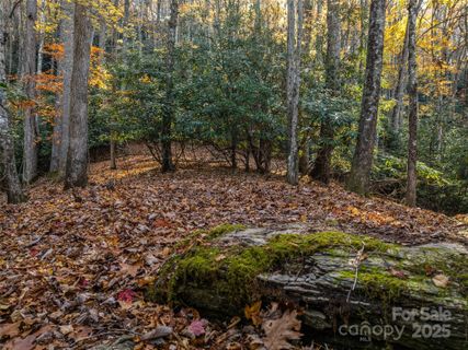 241 Skye Drive active home in Glen Cannon, Pisgah Forest, NC
