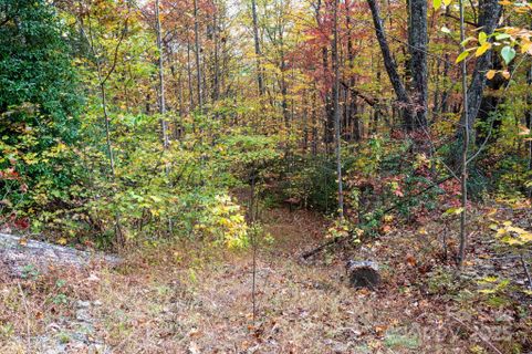 4b Lower Flat Creek Road active home in Idylwild, Black Mountain, NC