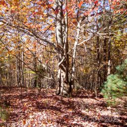 Lot 4 Peregrine Terrace