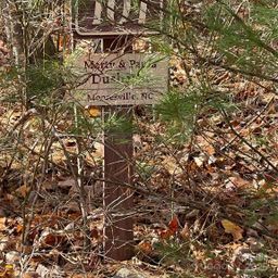 00 Pinnacle Falls Lane