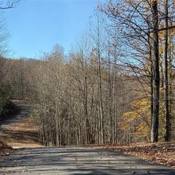 V L Lot 72 170 Black Lark Drive